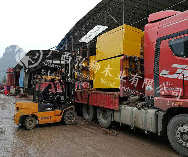 �㶫�����޽�ģ��ɹ�