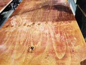 �����޽�ģ�������Ǯ