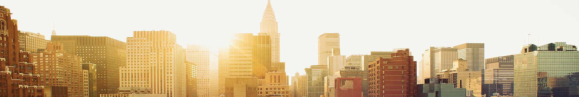 ny_banner1